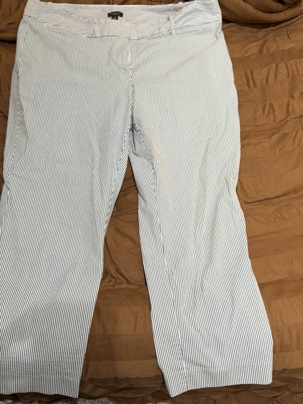Ann Taylor White with Navy Pinstripe women's Chinos